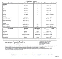 Thumbnail for Synergize Men