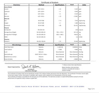 Thumbnail for Synergize Women